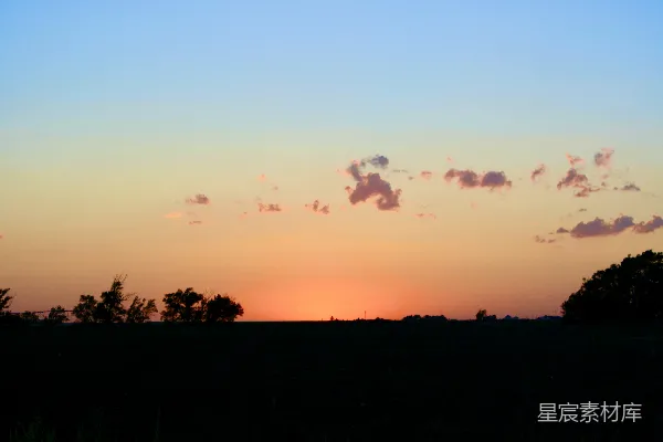 高清摄影 夕阳西下，田野上树木的轮廓清晰可见。