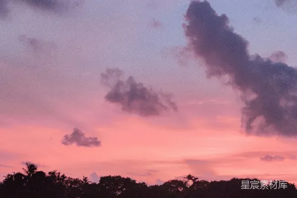 高清摄影 夕阳西下，云层中的树木剪影