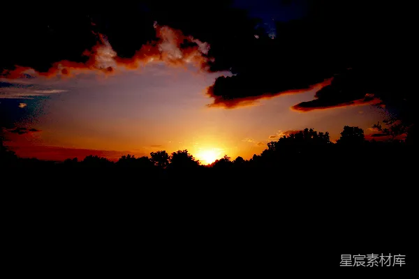 高清摄影 远处的树木上夕阳正在落下。