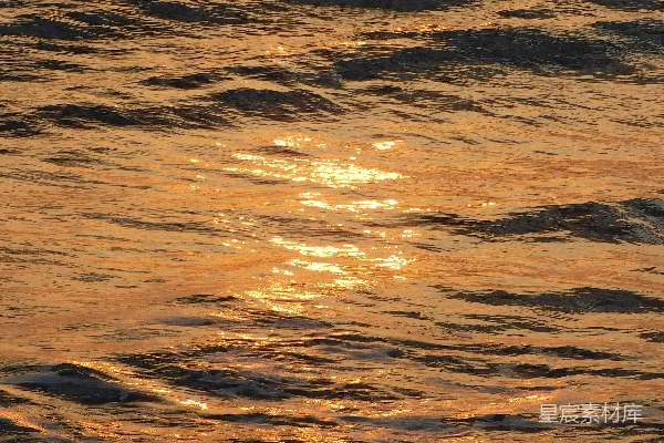 高清摄影 夕阳西下，一只鸟儿在水面上飞翔。