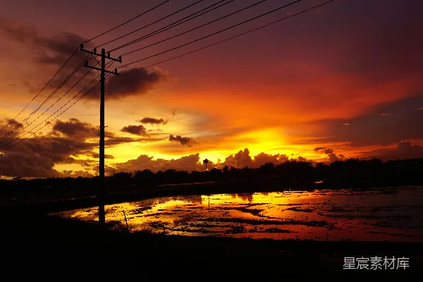 高清摄影 夕阳下电杆的剪影