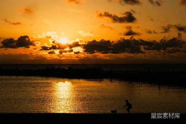 高清摄影 在日落时分，有人在海滩上遛狗。
