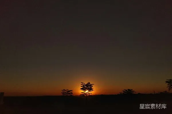 高清摄影 太阳正落在这片田野后方的一棵树后面。