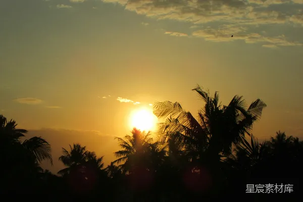 高清摄影 夕阳正挂在树木上方的天空中。