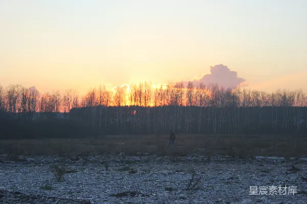 高清摄影 夕阳正照射在一片田野上，背景中树木林立。