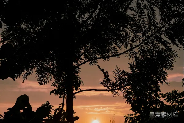 高清摄影 夕阳西下时，坐在地上的男人的剪影