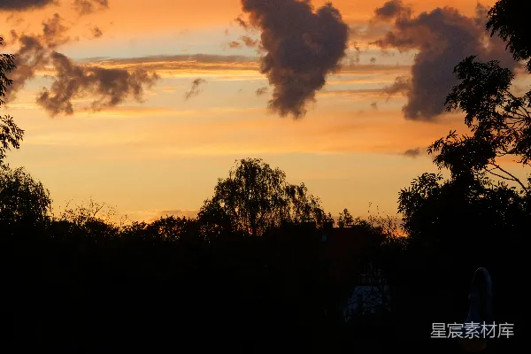 高清摄影 夕阳西下，天空中有云，前景中是树木。