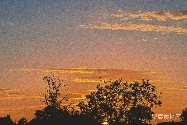 高清摄影 夕阳正在树木和建筑物之间落下。