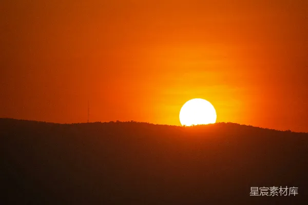 高清摄影 夕阳下树木的剪影