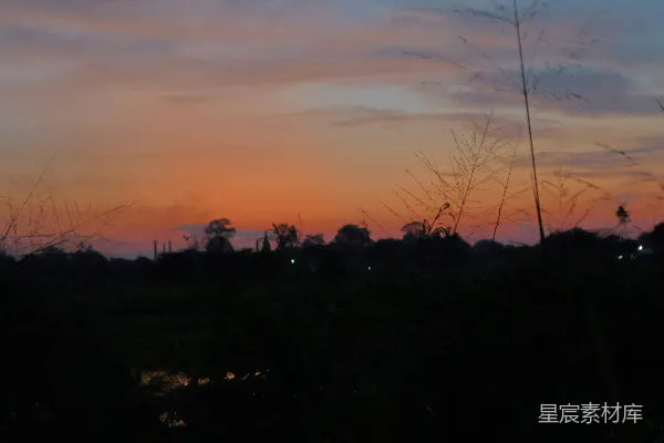 高清摄影 夕阳洒在一片长草地上。