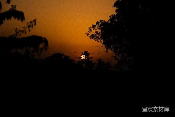 高清摄影 夕阳透过树木，映照着暮色苍茫的天空。