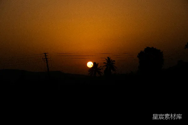 高清摄影 夕阳映照在树木和土地的剪影上。