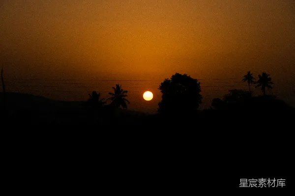 高清摄影 夕阳落下，树木在橙色的天空下剪影。