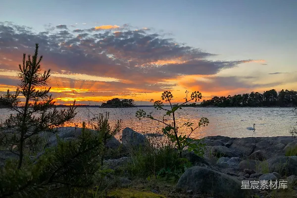 高清摄影 水边的绿草在夕阳下