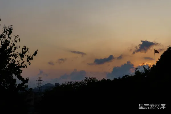 高清摄影 夕阳映照树林