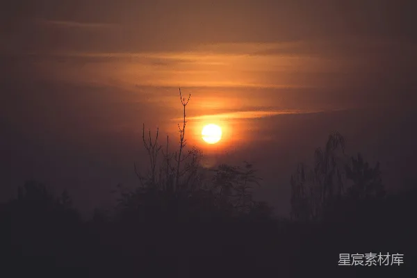 高清摄影 夕阳正照在远处的树木上。
