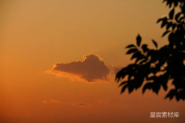 高清摄影 夕阳将一片云和一棵树染成橙色。