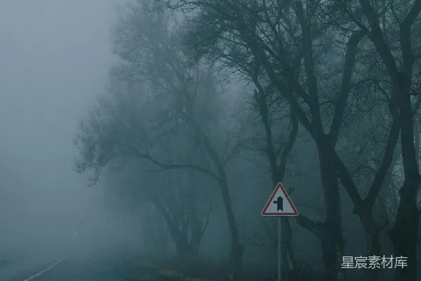高清摄影 一条雾蒙蒙的路，两旁有树木和一个路标。
