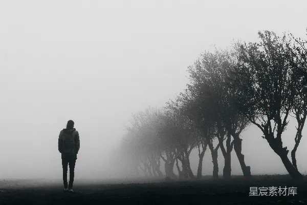 高清摄影 一个人站在有雾气的树林中的田野里。
