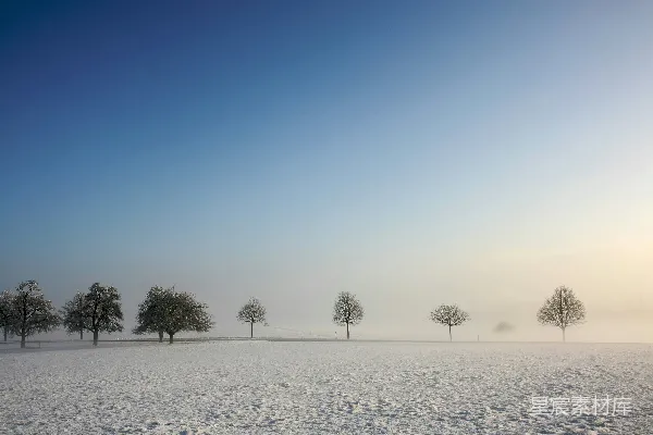高清摄影 一个积雪覆盖的田野，上面有树木。