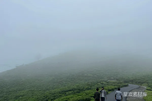 高清摄影 几个人沿着路边的小路，旁边是郁郁葱葱的山坡而行走。