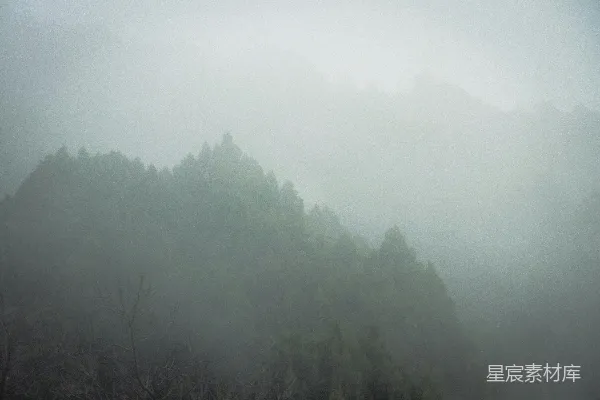 高清摄影 一座被雾气和树木覆盖的山