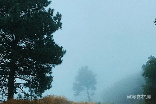 高清摄影 黑色的柏油马路