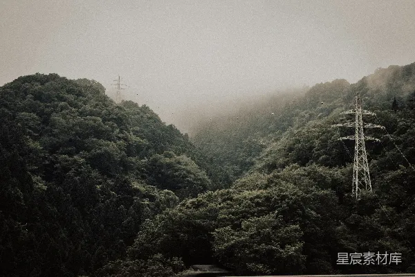 高清摄影 白变体帖子
