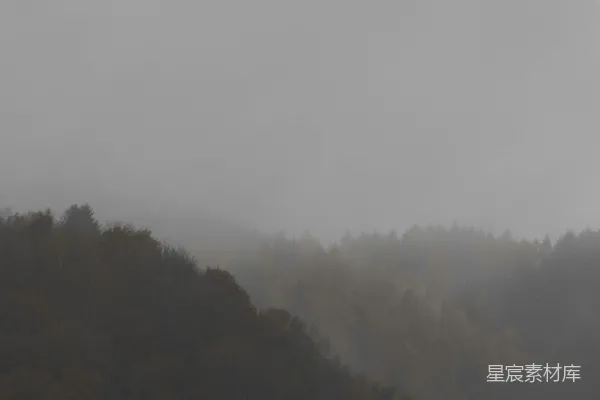 高清摄影 一架飞机在雾蒙蒙的天气里飞过一片森林。
