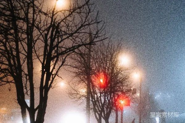 高清摄影 一条街道，两旁是树木和建筑物。