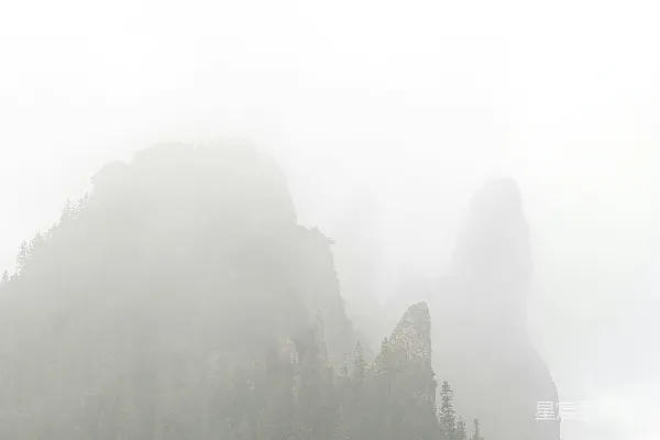 高清摄影 雾蒙蒙的山上长着树木。