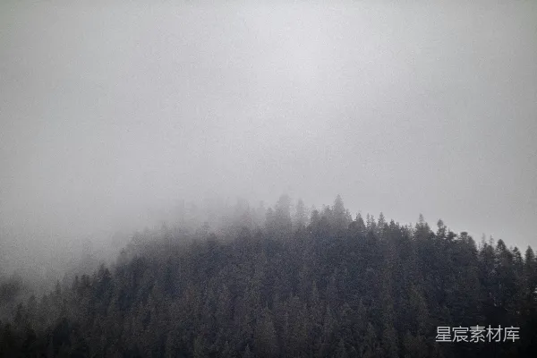 高清摄影 一个被雾气笼罩、树木丛生的山丘，在阴云密布的天气中。