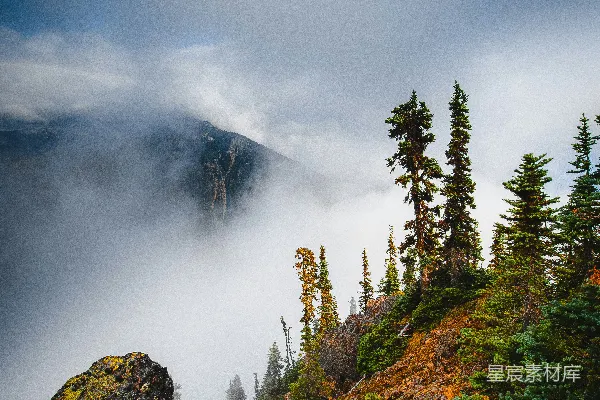 高清摄影 雾蒙蒙的山，树木和岩石