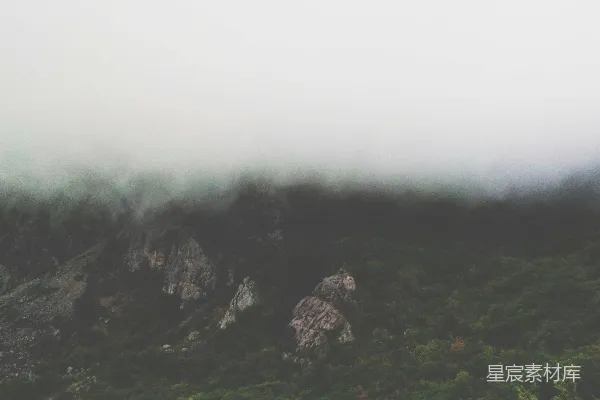 高清摄影 航拍绿树照片