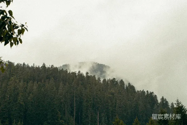 高清摄影 一座被雾气笼罩的山，前景中有树木。