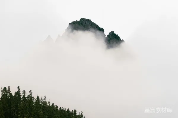 高清摄影 被雾气笼罩的山，山的一侧长着树木。