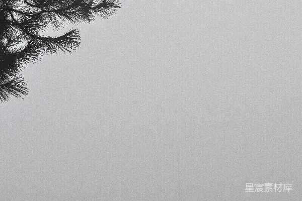 高清摄影 站在树前的人