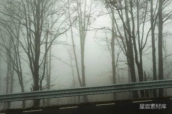 高清摄影 一辆汽车沿着一条路行驶，旁边有一片森林。