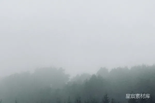 高清摄影 雾蒙蒙的森林