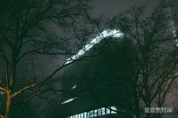 高清摄影 一座高耸的建筑物，夜晚被树木环绕着。