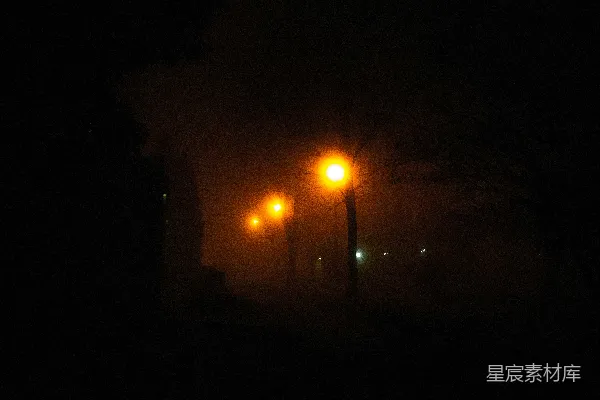 高清摄影 一群人在夜晚
