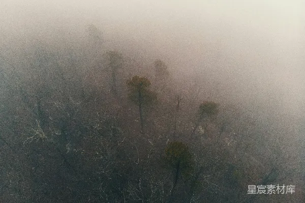 高清摄影 在雾天拍摄森林的航拍照片