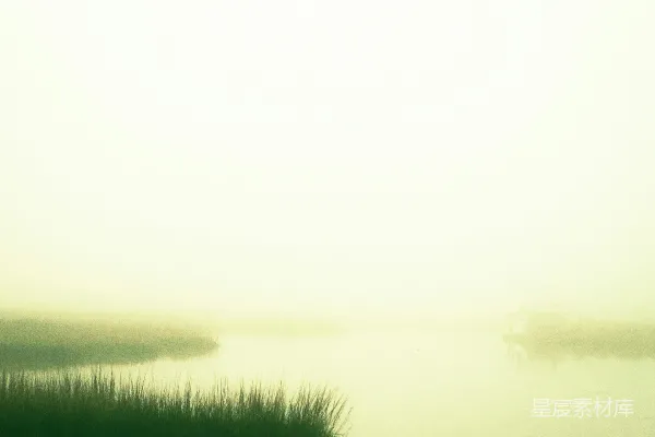 高清摄影 一片被草地和雾气环绕的水域