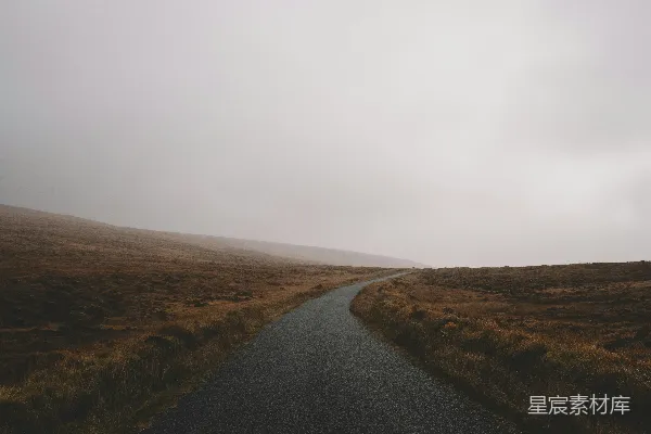 高清摄影 在雾天的道路