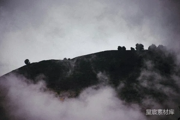高清摄影 一群羊站在山顶上