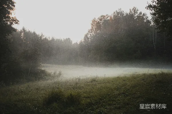 高清摄影 一片雾蒙蒙的田野，背景中有一些树木。