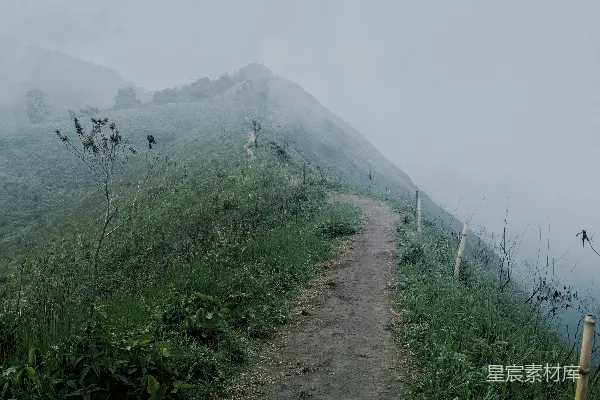 高清摄影 白天草地之间的路径