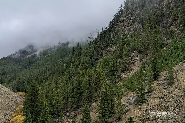 高清摄影 一座有树木的山