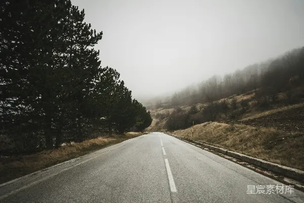 高清摄影 道路附近的树