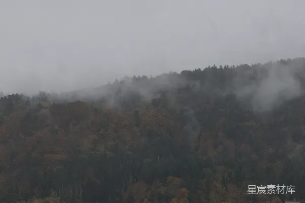 高清摄影 一座山被雾气笼罩，前面有树木。